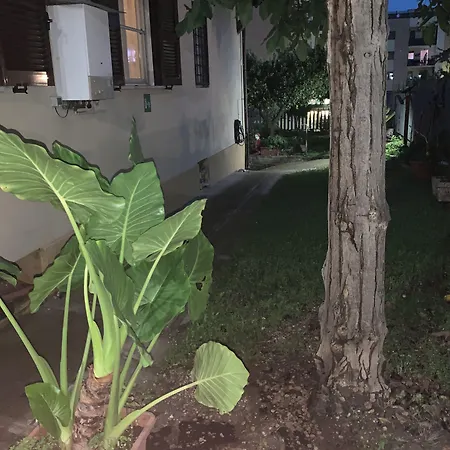 Sole E Luna ベッド・アンド・ブレックファスト ポンテ・ガレリア